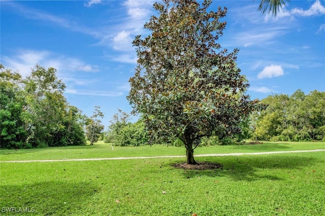 view of property's community featuring a yard