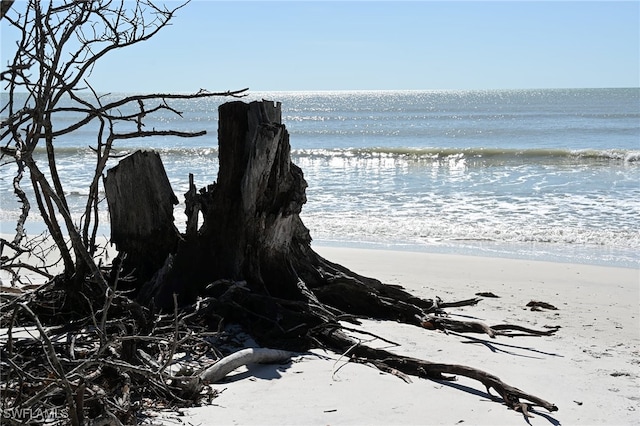 view of water feature featuring a view of the beach