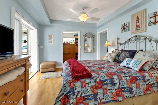 bedroom featuring a walk in closet, light wood-type flooring, a closet, and ceiling fan