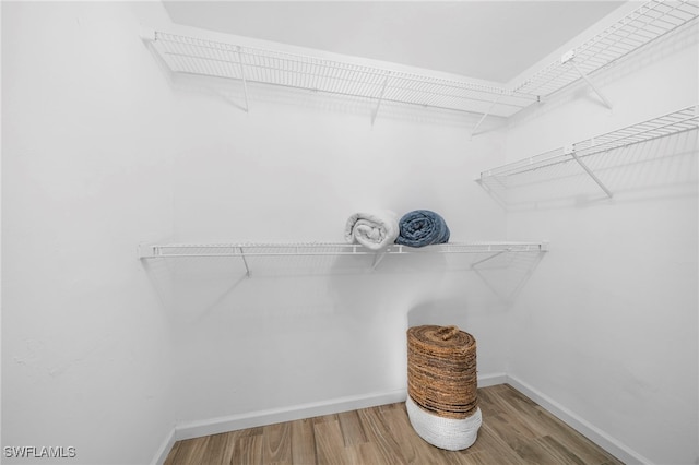 walk in closet featuring wood finished floors