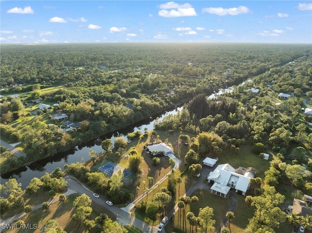 bird's eye view with a water view and a view of trees