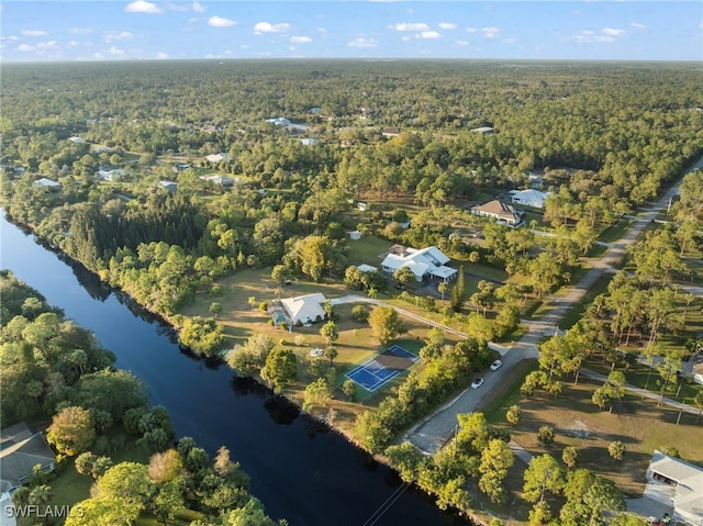 birds eye view of property with a water view and a view of trees