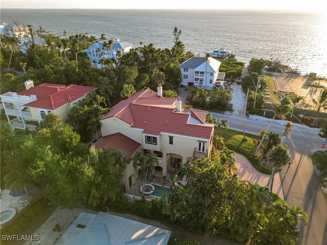 aerial view with a water view