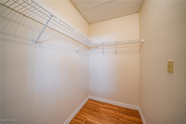 walk in closet with hardwood / wood-style floors