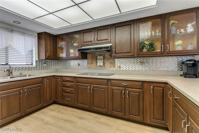 4600 Flagship Dr Unit 201, Fort Myers, FL 33919 - kitchen with decorative backsplash, light countertops, black electric cooktop, under cabinet range hood, and a sink
