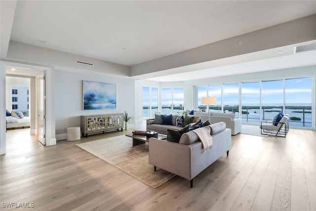 living room featuring a water view, light hardwood / wood-style floors, and a healthy amount of sunlight