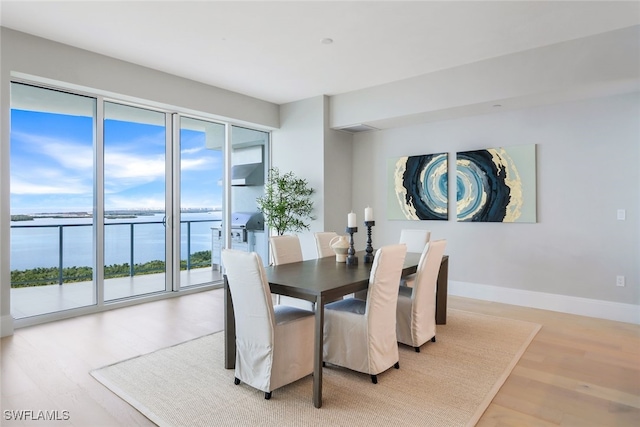 dining room with a water view, light hardwood / wood-style flooring, and plenty of natural light