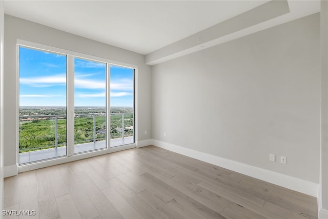 empty room featuring light wood-type flooring and plenty of natural light