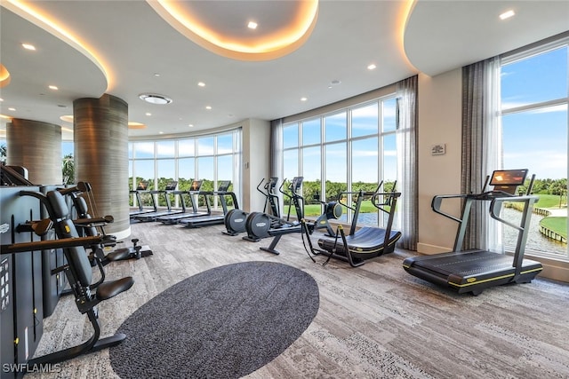 exercise room featuring wood-type flooring and a healthy amount of sunlight