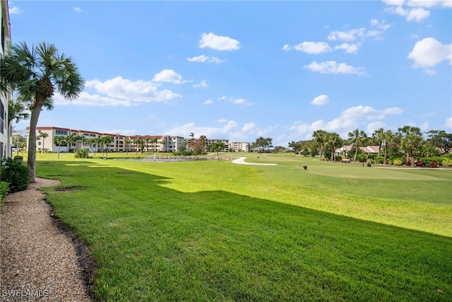 view of home's community with a yard