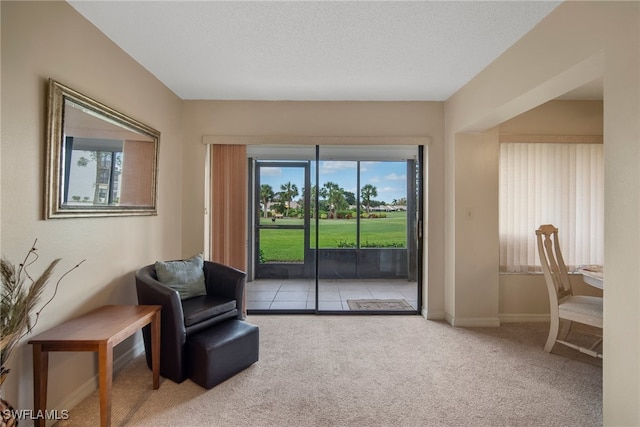 living area featuring carpet floors and a textured ceiling