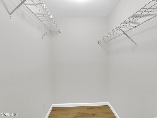 walk in closet with hardwood / wood-style flooring