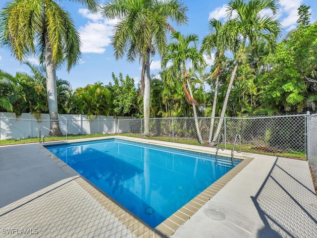 view of swimming pool with a patio