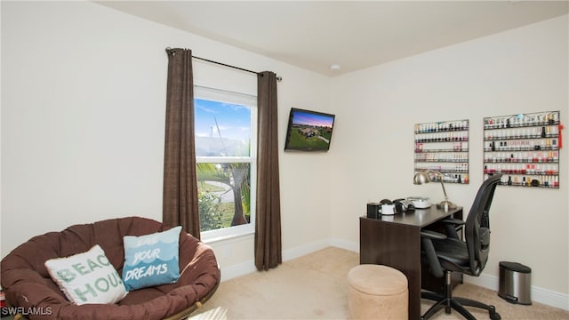 view of carpeted home office