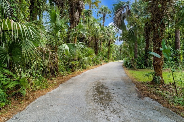 view of road