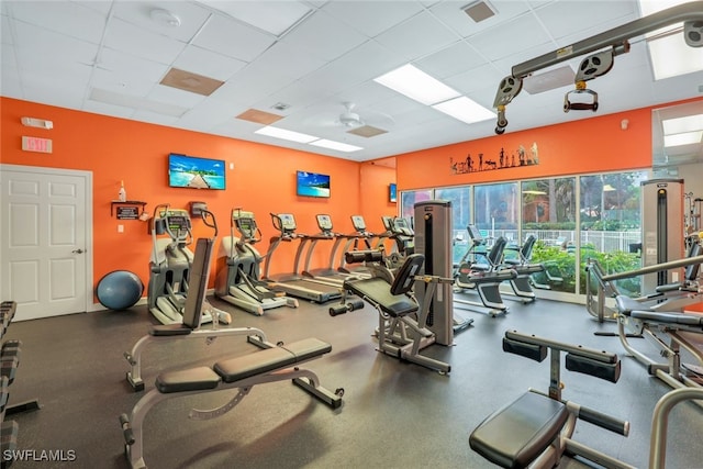 workout area with a drop ceiling and ceiling fan