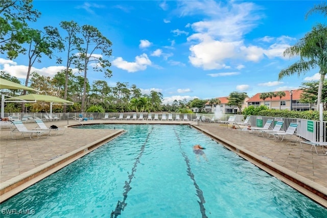 view of pool featuring a patio area