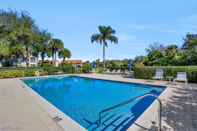 view of swimming pool featuring a patio