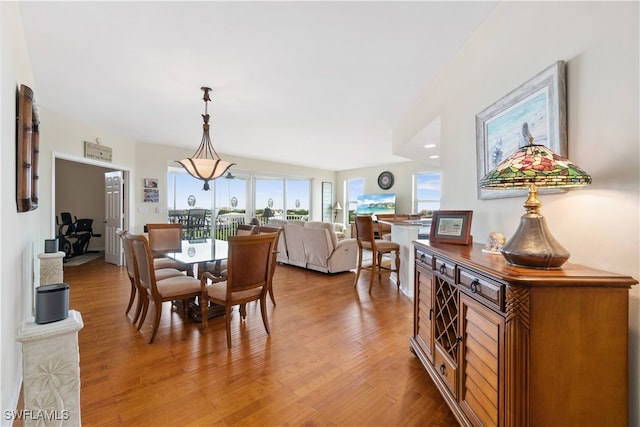 dining room with hardwood / wood-style floors