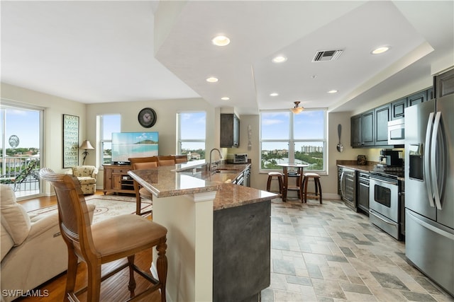 kitchen featuring light stone countertops, kitchen peninsula, stainless steel appliances, and plenty of natural light