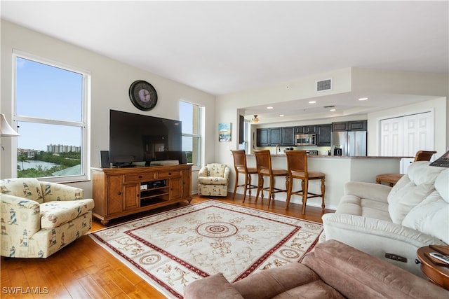 living room with wood-type flooring