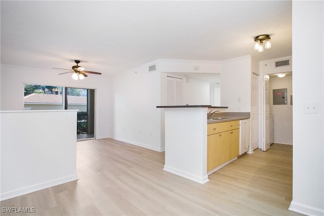 kitchen with ceiling fan, light brown cabinetry, light hardwood / wood-style flooring, dishwasher, and a textured ceiling