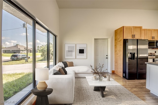 living room with light hardwood / wood-style flooring