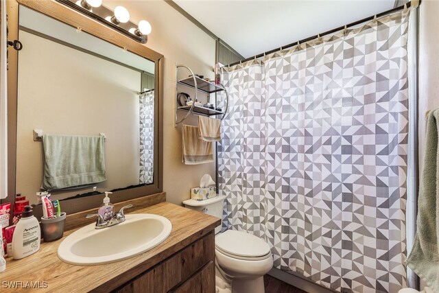 bathroom featuring curtained shower, vanity, and toilet