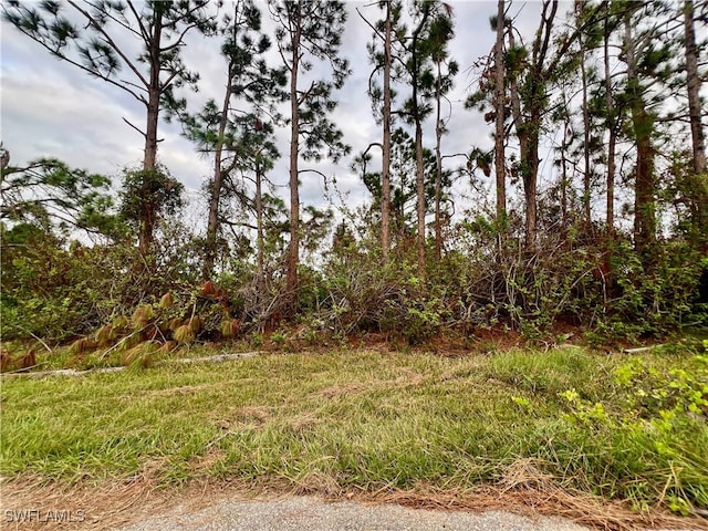 5480 Brussels Ter, Port Charlotte FL, 33981 land for sale