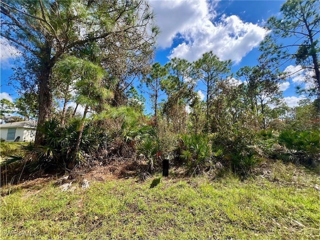 12334 Hindle Ave, Punta Gorda FL, 33955 land for sale