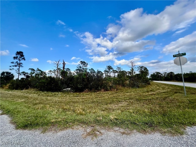 12132 Conroy Ave, Port Charlotte FL, 33981 land for sale