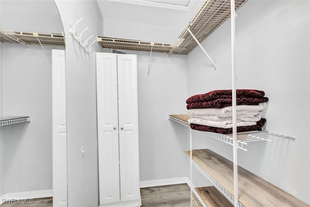 walk in closet featuring wood finished floors