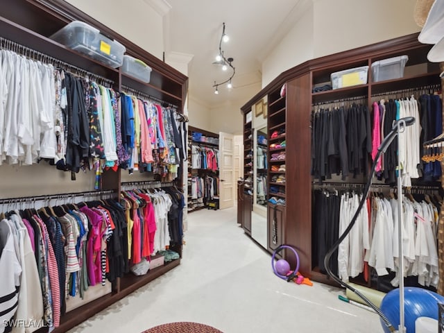 walk in closet featuring carpet