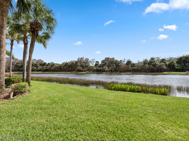 view of yard with a water view