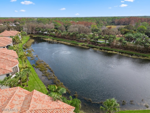 birds eye view of property featuring a water view