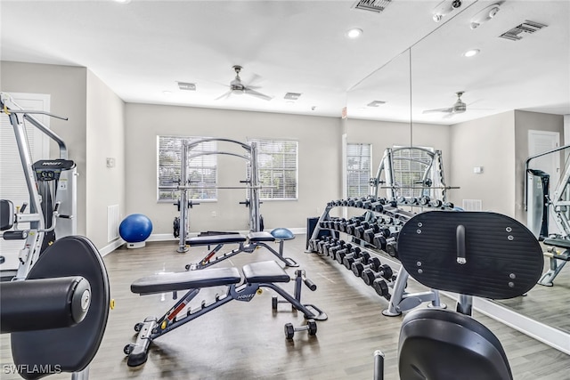 workout area with light hardwood / wood-style floors and ceiling fan