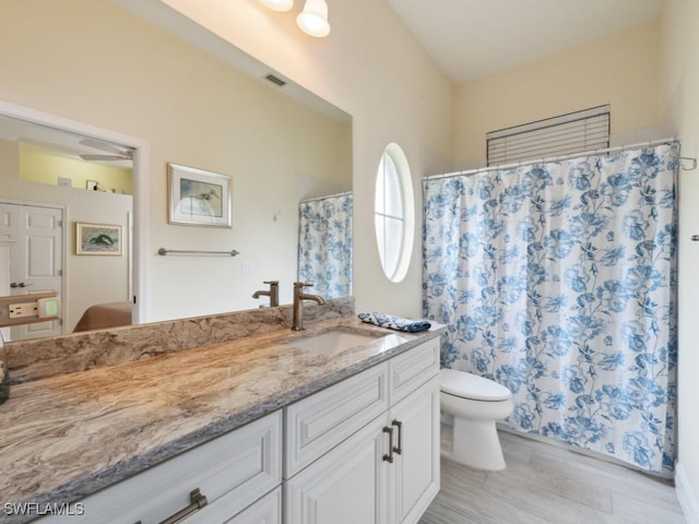 bathroom with vanity, toilet, and wood-type flooring