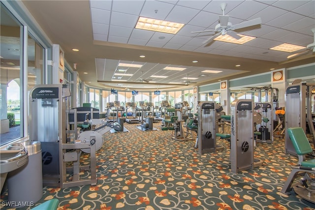 workout area featuring dark colored carpet, ceiling fan, and a paneled ceiling