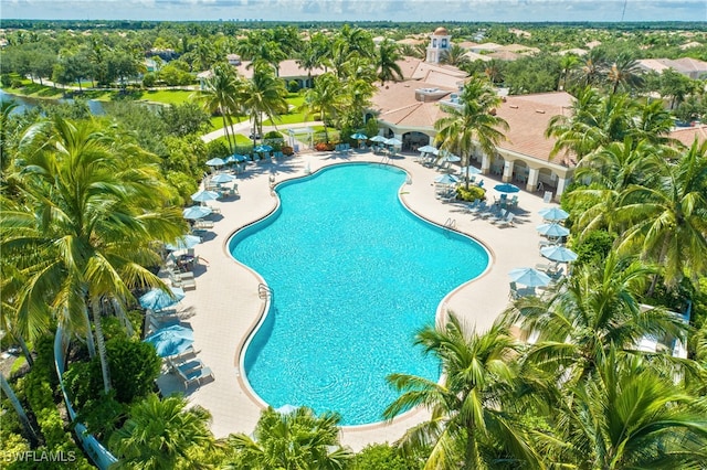 pool featuring a patio area