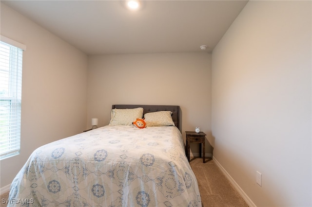 bedroom featuring carpet