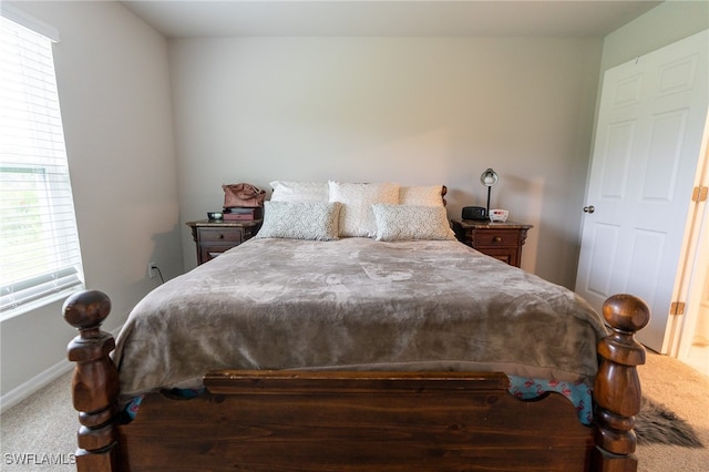 bedroom with carpet flooring and multiple windows