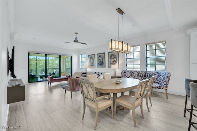 dining space featuring ceiling fan and crown molding