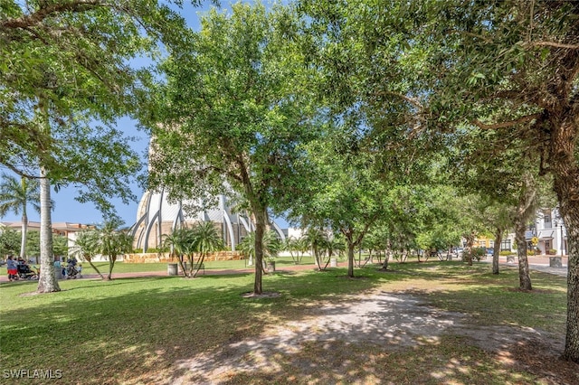 view of home's community with a yard