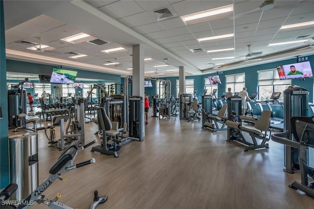 workout area featuring hardwood / wood-style flooring, a drop ceiling, and ceiling fan