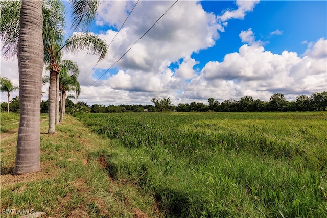 view of local wilderness featuring a rural view