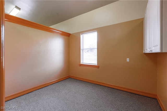 additional living space with carpet flooring