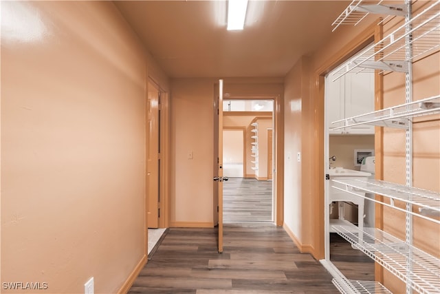 corridor featuring dark wood-type flooring