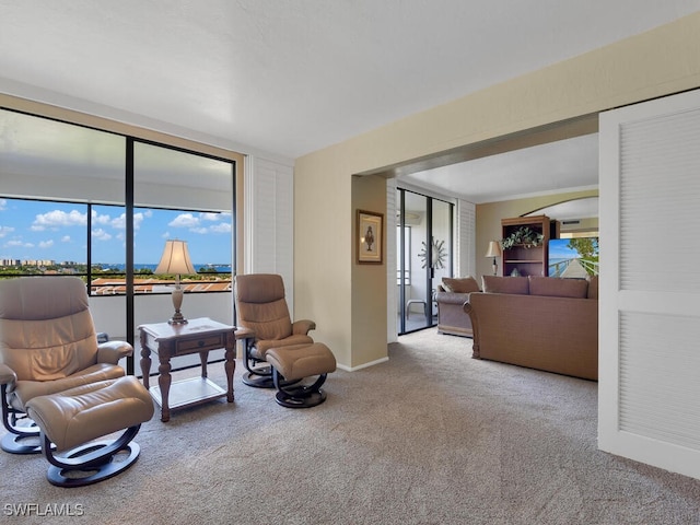 sitting room with carpet floors