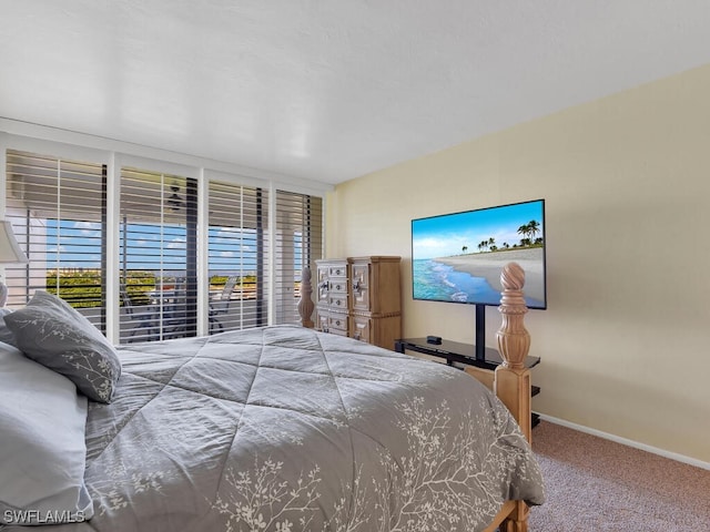 bedroom with carpet