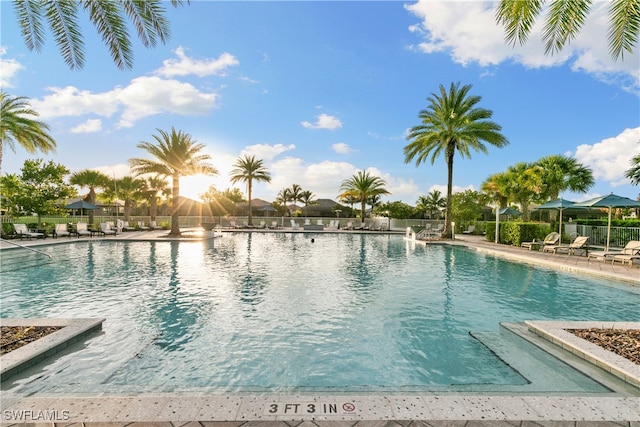 view of pool with a patio area